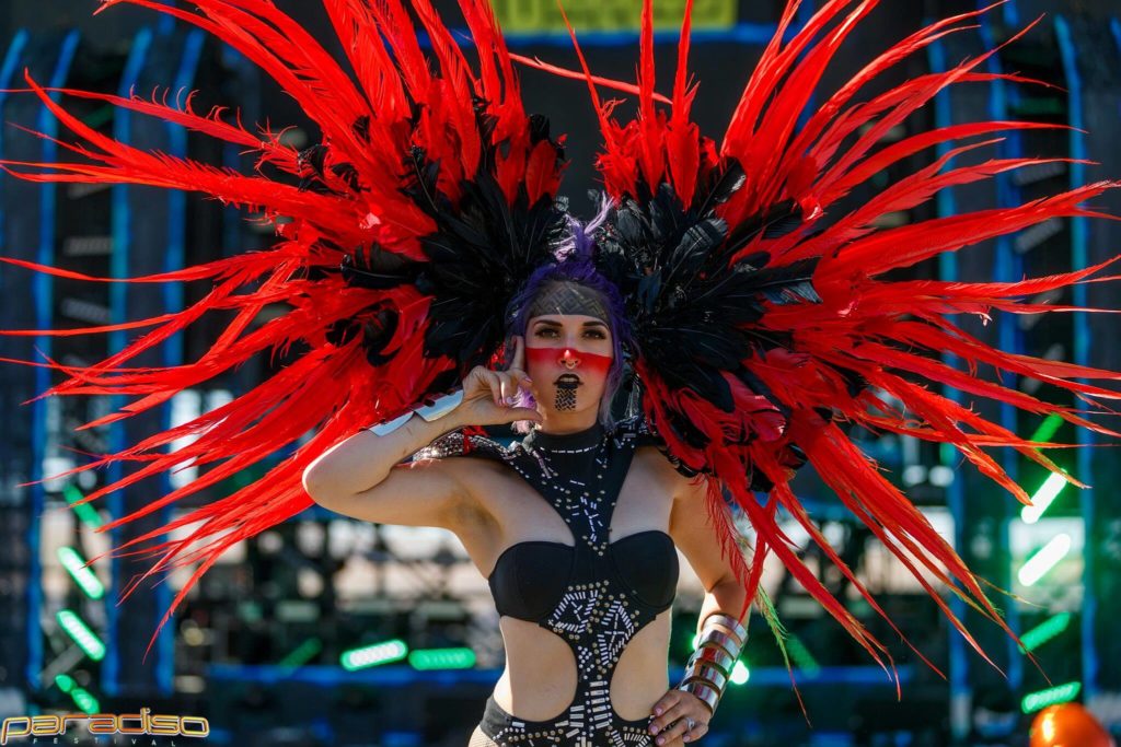 19650408_1513072652083267_2040550441_o (1)